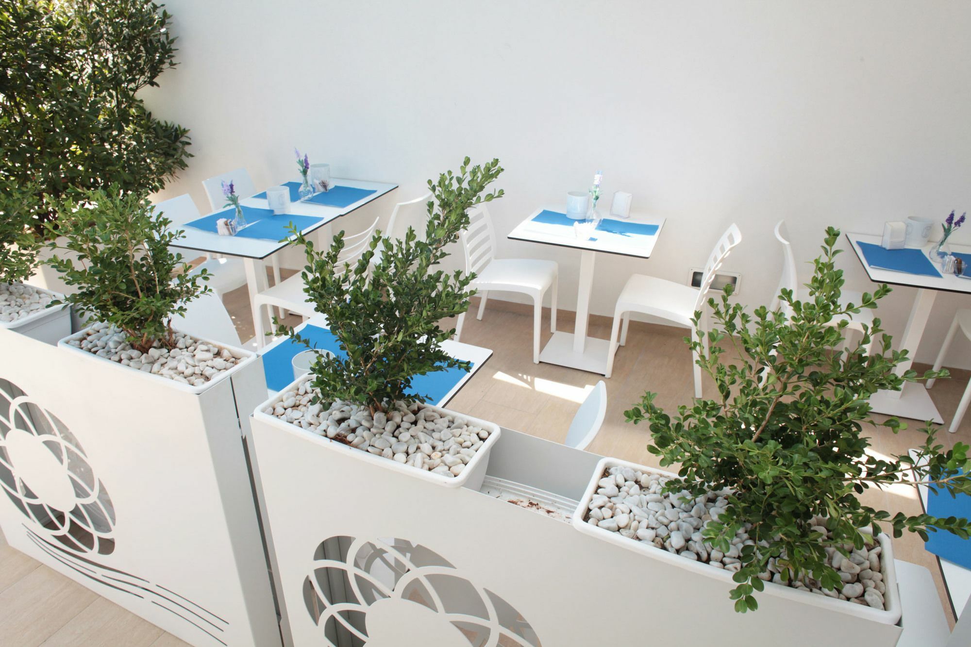 Bed & Breakfast Rivazzurra Design San Vito Lo Capo
